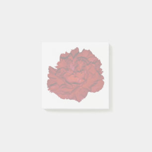 Rote Nelken-Haftnotizen Post-it Klebezettel