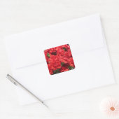 Rote Nelken Quadratischer Aufkleber (Umschlag)