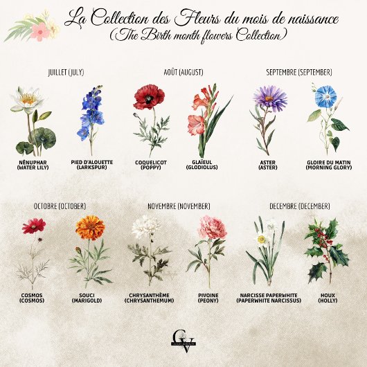 Rote Nelkenblüte Poster