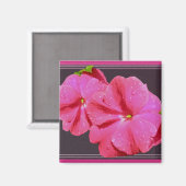 Rote neue Guinea Impatiens Coordinated Items Magnet (Vorderseite/Rückseite)