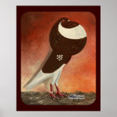 Rote Norwich Cropper-Taube Poster (Vorne)