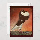 Rote Norwich Cropper-Taube Postkarte (Vorne/Hinten)