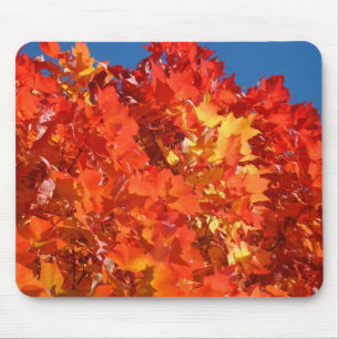Rote Orange Herbstblätter fallen blauer Himmel Mousepad