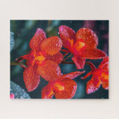 Rote Orchid-Blume Puzzle (Horizontal)