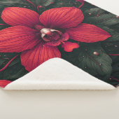 Rote Orchidee blüht mit grünen Blättern Sherpadecke (3/4)
