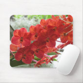ROTE ORCHIDEE MOUSEPAD (Mit Mouse)
