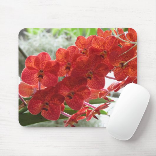 ROTE ORCHIDEE MOUSEPAD (Mit Mouse)
