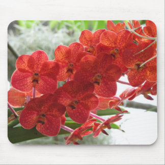 ROTE ORCHIDEE MOUSEPAD