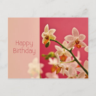 Rote Orchidee zum Geburtstag Postkarte