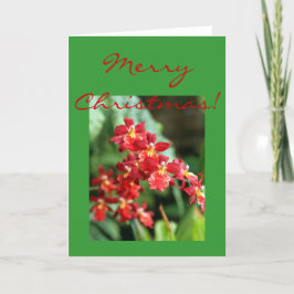 Rote Orchideen Feiertagskarte
