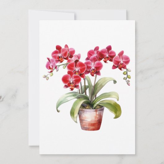 Rote Orchideen Winter Sommerhochzeit Einladungen (Rückseite)