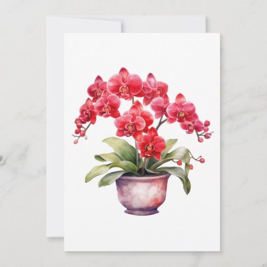 Rote Orchideen Winter Sommerhochzeit Einladungen (Rückseite)