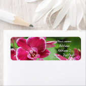 Rote Orchideenblüte (Insitu)