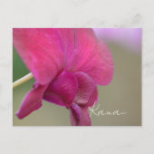 Rote Orchideenblüte Kauai Postkarte (Vorderseite)