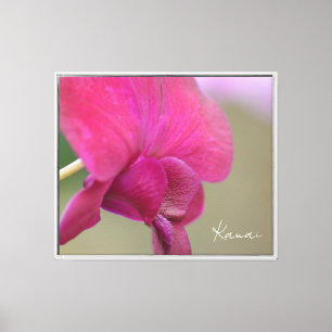 Rote Orchideenblüte Kauai (von mir fotografiert) Leinwanddruck