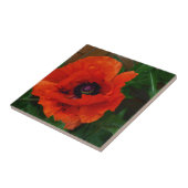 Rote orientalische Mohnblume Fliese (Seite)