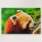 Rote Panda-Bären. Jigsaw Puzzle (Horizontal)