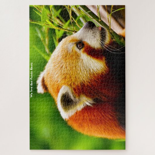 Rote Panda-Bären. Jigsaw Puzzle (Vertikal)