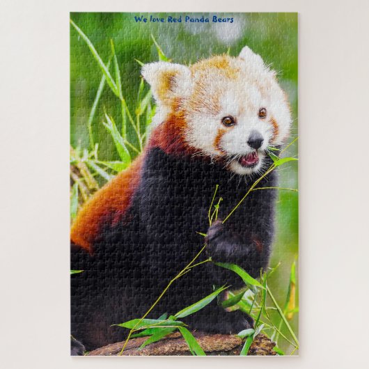 Rote-Panda-Bären. Puzzle (Vertikal)