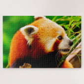 Rote Panda-Bären. Puzzle (Horizontal)
