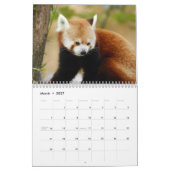 Rote Panda-Kalender Kalender (Mär 2027)