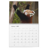 Rote Panda-Kalender Kalender (Jan 2027)