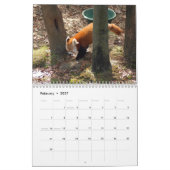 Rote Panda-Kalender Kalender (Feb 2027)