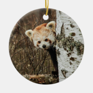 Rote Panda Keramikornament