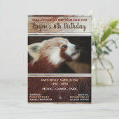 Rote Panda-Party Einladungen (Stehend Vorderseite)