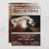 Rote Panda-Party Einladungen (Vorne/Hinten)