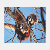 rote Pandas Fleecedecke (Vorderseite (Horizontal))