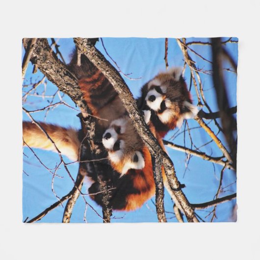 rote Pandas Fleecedecke (Vorderseite (Horizontal))