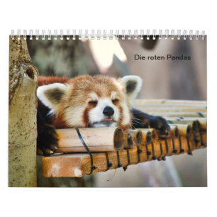 Rote Pandas Kalender