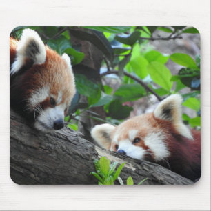 Rote Pandas Mousepad