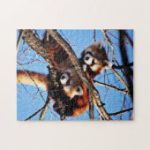 rote Pandas Puzzle (Horizontal)