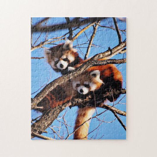 rote Pandas Puzzle (Vertikal)