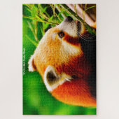 Rote Pandas. Puzzle (Vertikal)