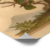 Rote Papageien mit Vintagen Vogelarten drucken Poster (Ecke)