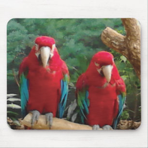 Rote Papageien Mousepad