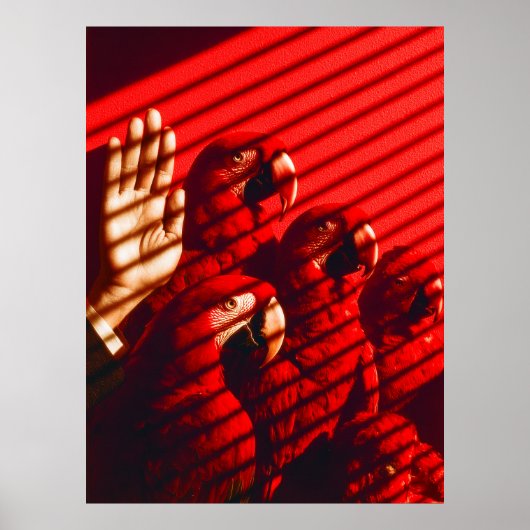 Rote Papageien und eine Hand Poster (Vorne)