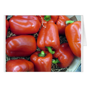 Rote Paprikaschoten