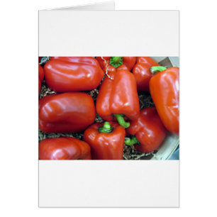 Rote Paprikaschoten