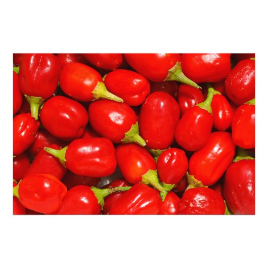 Rote Paprikaschoten Fotodruck (Vorne)