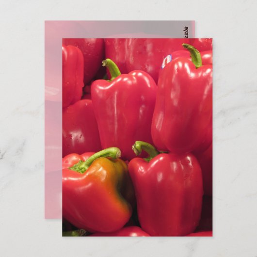 Rote Paprikaschoten... Postkarte (Vorne/Hinten)