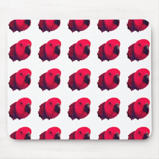 ROTE PARROTS MOUSEPAD (Vorne)