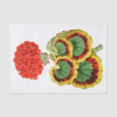 Rote Pelargonie botanisches 10" X 15" Seidenpapier (Vorderseite)