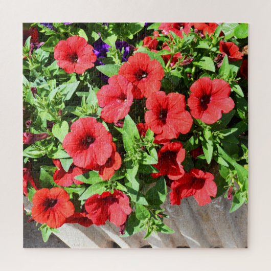 Rote Petunia-Blume Puzzle (Vertikal)