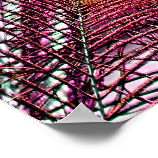 Rote Pfauenfedern fallen ab Poster (Ecke)