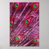 Rote Pfauenfedern fallen ab Poster (Vorne)