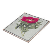 Rote Pfingstrose Fliese (Seite)